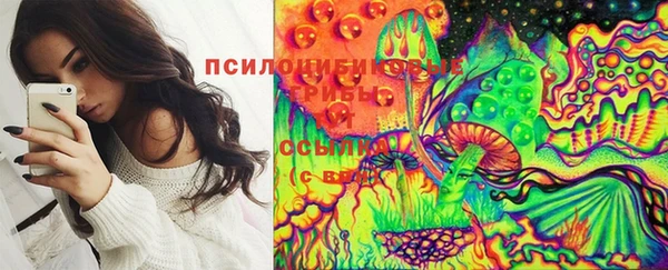 mdpv Медногорск