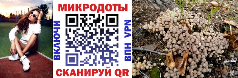 Купить где  Новое Девяткино  Галлюциногенные грибы мухоморы 
